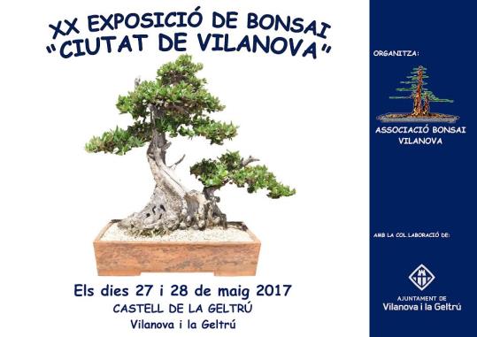 XX Exposició de Bonsai 