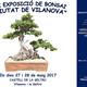 XX+Exposici%c3%b3+de+Bonsai+%22Ciutat+de+Vilanova%22