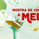 XII+Mostra+de+cervesa+artesana+a+Mediona