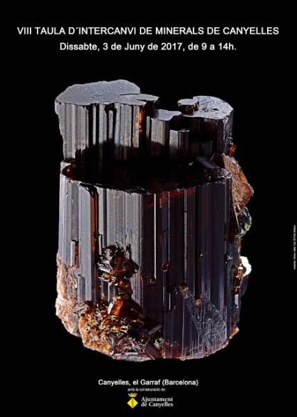 VIII Taula d'intercanvi de minerals