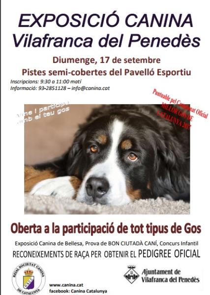 Exposició Canina a Vilafranca