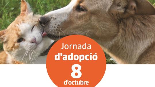 6ª Jornada d'Adopció de Gossos