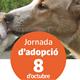 6%c2%aa+Jornada+d%27Adopci%c3%b3+de+Gossos+a+Jardiland+Cubelles