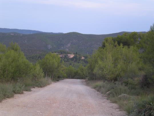 21a Caminada Popular