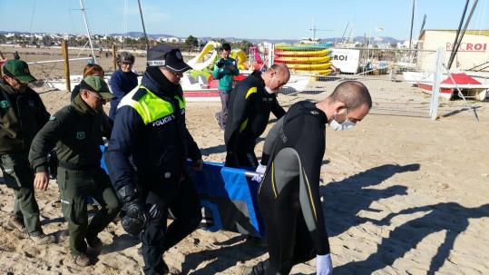 Apareix un dofí ratllat encallat a la platja de Vilanova. Ajuntament de Vilanova