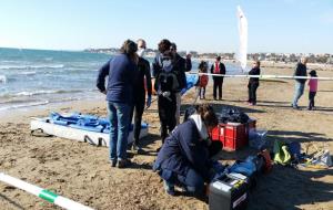 Apareix un dofí ratllat encallat a la platja de Vilanova