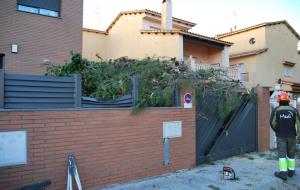 Arbres caiguts a Cubelles pel temporal de vent d'aquesta nit