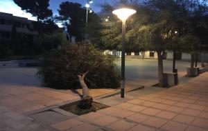 Arbres caiguts a Cunit pel temporal de vent d'aquesta nit