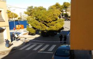 Caiguda d'un arbre a la via pública a les Roquetes, Sant Pere de Ribes 