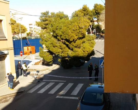 Caiguda d'un arbre a la via pública a les Roquetes, Sant Pere de Ribes . @Miguelsoyyy