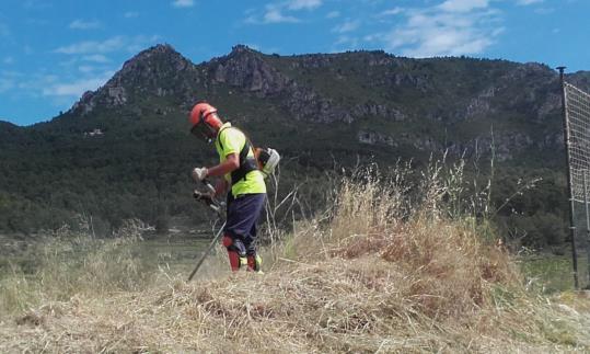 Cinc aturats formen una brigada forestal al Baix Penedès . CC Baix Penedès