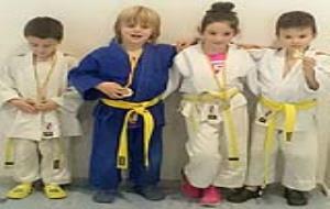 Club Judo Olèrdola