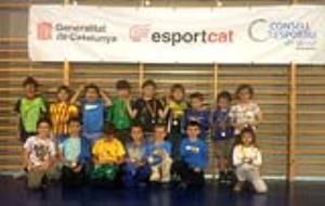 Competició comarcal d'escacs escolars