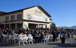 Covides presenta els seus vins novells en la Festa del Soci 2017. Covides