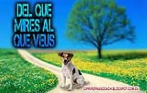 del que mires al que veus. Eix