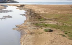 Denuncien que obres municipals al torrent de Sant Joan, a Vilanova, han destruït l'ecosistema. APMA