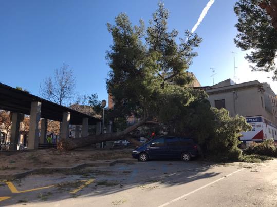 Destrosses del vent a Vilafranca del Penedès. Francisco Lorenzo