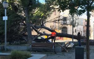 Destrosses del vent a Vilafranca del Penedès
