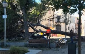 Destrosses del vent a Vilafranca del Penedès