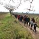 +Caminada+Tot+passejant+pel+municipi+d%27El+Martinet+