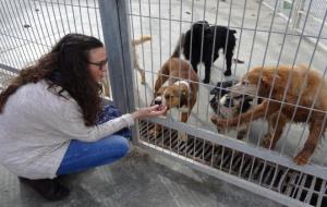 El CAAD Penedès- Garraf impulsa una campanya per adoptar els 100 gossos i gats de més edat del centre. Ramon Filella