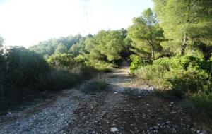 El Camí de la Font d’en Bonet s’arranja per millorar la prevenció d’incendis a Canyelles