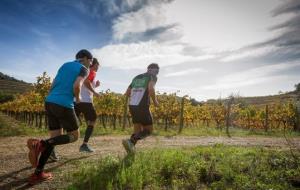 El projecte Enoturisme Actiu Baix Penedès vincula el territori, els hàbits saludables i el món del vi. EIX