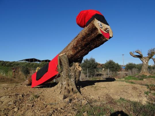 El tió més gran de l'Alt Penedès torna a la carretera de La Múnia per setè any consecutiu. Ramon Filella