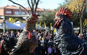 El Tomasot i la Ballarica tanquen la cercavila del bestiari festiu de ploma de la Fira del Gall. Fira del Gall