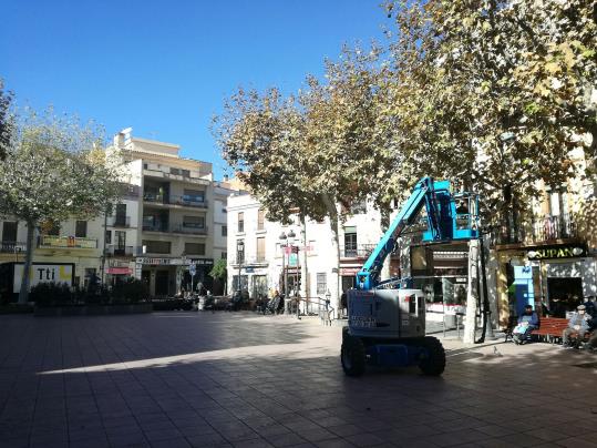 El Vendrell estrena un nou sistema de poda per evitar fongs i malalties . Ajuntament del Vendrell