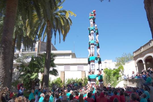 Els Castellers de Vilafranca preparen la diada de Cal Figarot. Castellers de Vilafranca