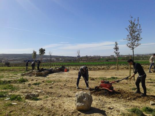 Els joves del PTT d’auxiliar de vivers i jardins adeqüen l’espai que marcarà l’inici del Camí del Vi cap a la Torre de les Aigües. Ajuntament de Vilaf