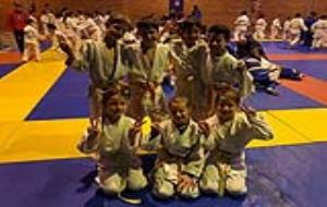 Els judoques de l'escola de judo Vilafranca a Falset