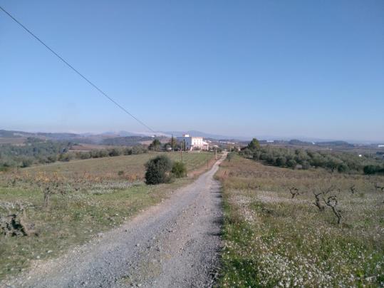 Espai on s'ubicarà l'Agroparc, amb el fons de la Masia de Can Mata d'Abellò. Bosc Verd