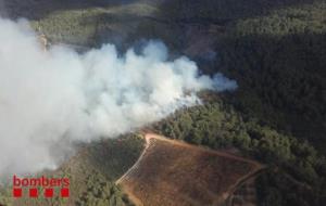 Estabilitzat l'incendi forestal de Sant Martí Sarroca. Bombers