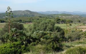 Estudien la instal.lació de càmeres de vigilància forestal a tots els massissos del Penedès i Garraf. Ramon Filella