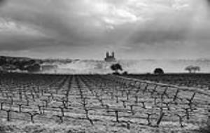 “Fotografia 1” de Clàudia Sauret Verdejo