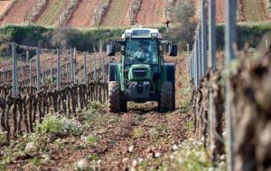 Freixenet innova en el tractament de les vinyes amb un sistema que dosifica l’adob gràcies a imatges aèries