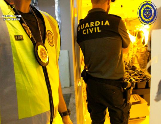 Imatge de dos agents de la Guàrdia Civil en el desmantellament d'una plantació de marihuana a Segur de Calafell. Guàrdia Civil