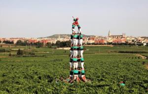 Imatge dels Castellers de Vilafranca entre vinyes. Maria Rosa Ferré