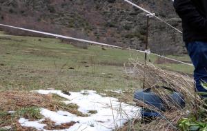 Imatge d'un pastor elèctric amagat amb plantes per passar desapercebut i evitar el seu robatori