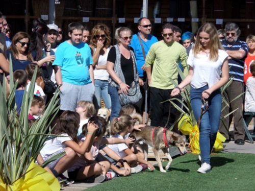 La 6a Jornada d’adopció de gossos de Cubelles rep més de 250 visitants. Ajuntament de Cubelles