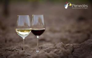 La DO Penedès i l’Associació de Gastronomia i Turisme del Baix Llobregat arriben a un acord de col·laboració. DO Penedès