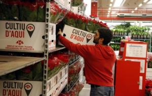 La marca 'Cultiu d'Aquí' ja és present a les parades del Mercat de Flor i Planta Ornamental de Catalunya. ACN
