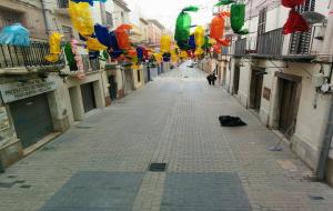 La recuperació del guarniment de carrers de Vilanova