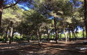 L’antic càmping de Calafell es convertirà en un parc d’activitats a l’aire lliure