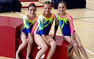 Les gimnastes del Club Gimnàstica Vilanova