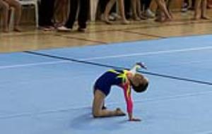 Les gimnastes del Club Gimnàstica Vilanova