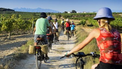 Les rutes d'Enoturisme Penedès, les segones de l'estat espanyol que més visitants van rebre el 2016. Enoturisme Penedès