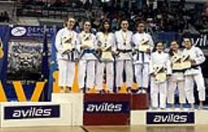 L’escola de Judo Vilafranca a Avilés